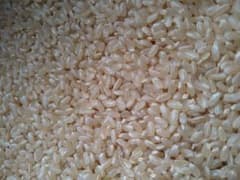 ☆農家直送☆長野県産☆R7年産☆　あきたこまち　玄米30kg らくらくメルカリ便 ☆農家直送☆長野県産☆R7年産☆ あきたこまち 玄米30kg らくらく