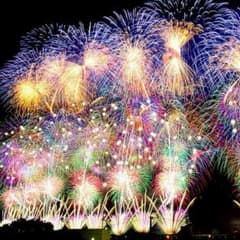 鯉好き様専用のサムネイル