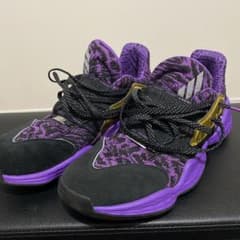 Harden Vol.4 SW 28cm 最終値下げのサムネイル