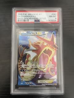 PSA8 ギャラドスEX SR 1ED 色違い