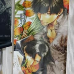 WILD ADAPTERスリムポスターのサムネイル