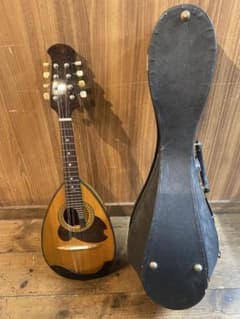 SUZUKI VIOLIN No.226 1972年製 マンドリン ハードケース - メルカリ