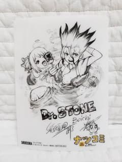ナツコミ 2019 Dr.STONEのサムネイル