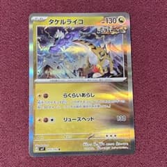 新品・プレイ用】タケルライコ らくらいあらし 1枚（ポケモン