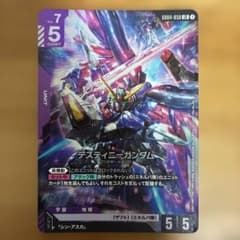 Phantom Aria デスティニーガンダム LR - メルカリ