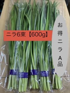 【栃木県産】化成肥料不使用A品ニラ6束(600ｇ)甘い柔らかい新鮮農家直送のサムネイル