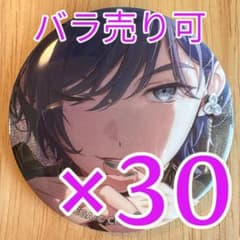KAITO プロセカ グリッター缶バッジ 52A 30個 KAITO プロセカ グリッター缶バッジ 52A 30個 - メルカリ