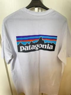 patagonia パタゴニア Tシャツ 値下げありのサムネイル