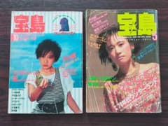 戸川純  インタビュー　1984年 1985年　宝島 2冊セットのサムネイル