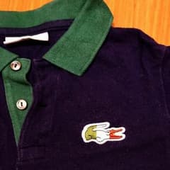 早い者勝ち ラコステ 8Aのサムネイル