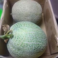 2玉セット ネットメロン 果物 肉厚で緻密 ムーンライト1個マスクメロン1個のサムネイル