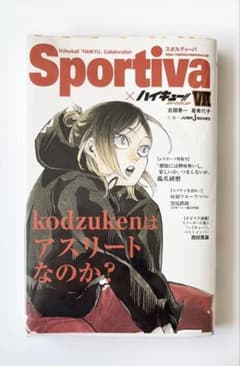 ハイキュー ショーセツバン Ⅶ Sportivaのサムネイル