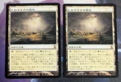 トロウケアの敷石 2枚 - メルカリ