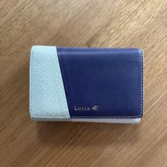 Luria 4℃ カードケース マルチカラーのサムネイル