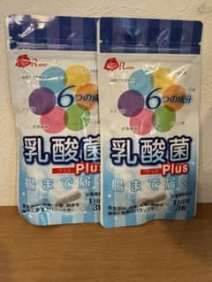 ローズコーポレーション乳酸菌プラス2袋のサムネイル