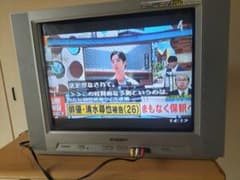 21型フラットステレオテレビ 21FX-01 ORIONのサムネイル