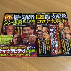 図解 世界「闇の支配者」とコロナ大戦争のサムネイル