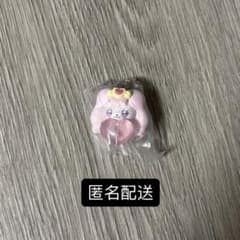 푸치큐아 메지루시 액세서리 파후②