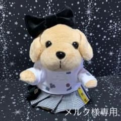 メルク様専用　安室奈美恵Finallyアンコス　みーちゃん衣装のサムネイル