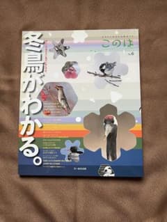 生きもの好きの自然ガイド　このはNo.6のサムネイル