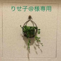 428のサムネイル