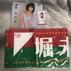 堀未央奈　マフラータオル　おまけ（クリアファイルとウエハースカード）のサムネイル