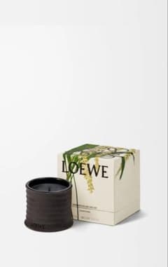 LOEWE DENDROCHILUM Magnum ORCHID キャンドル - メルカリ