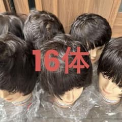 カットウィッグ  国試  三矢のサムネイル
