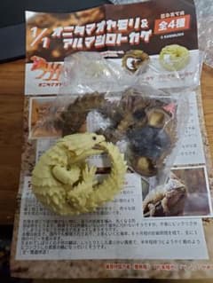 アルマジロトカゲ 全2種セット ガチャ 蟹蟲修造 トカゲのサムネイル