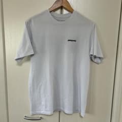 patagonia Sサイズ ホワイト Tシャツのサムネイル