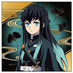 ♡U♡※プロフ必読!!!※様専用のサムネイル