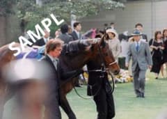 ディープインパクト 生写真 現役時代 天皇賞(春) パドック ２枚のサムネイル