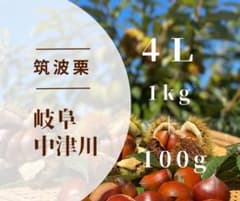 【10月5日夕方採れ】生栗　栗　岐阜県中津川産　筑波1kg＋約100gのサムネイル