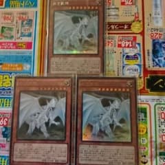 [全レアリティ！]遊戯王 白き霊龍 3枚セットのサムネイル