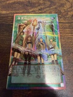 遊戯王 精霊術の使い手 オーバーフレーム プリズマ - メルカリ