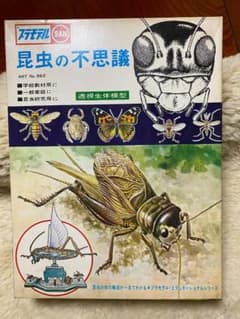 超希少品 マルサン昆虫の不思議　透視生体模型のサムネイル