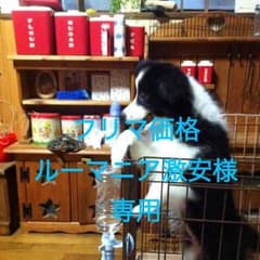 フリマ価格ルーマニア激安様専用のサムネイル