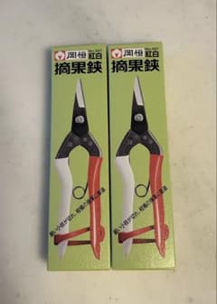 岡恒　摘果鋏2点セット（替バネ2本付）のサムネイル