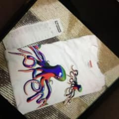 supreme シュプリーム サマーT 半袖 M 新品のサムネイル