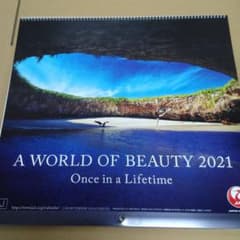 JAL　カレンダー　a world of beauty 2021のサムネイル