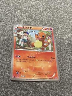 ヒトカゲ 003/032のサムネイル