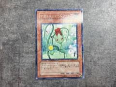 ナチュル・ローズウィップ DT04-JP021のサムネイル