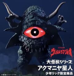 エクスプラス（X-PLUS）大怪獣シリーズ少年リック限定商品アクマニヤ