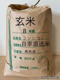 《玄米》 農家直送米　20kg 令和8年　鳥取県産 コシヒカリのサムネイル