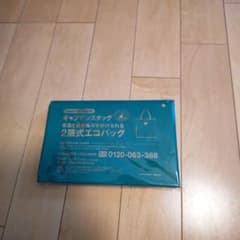 人気チェック柄2層式エコバッグ