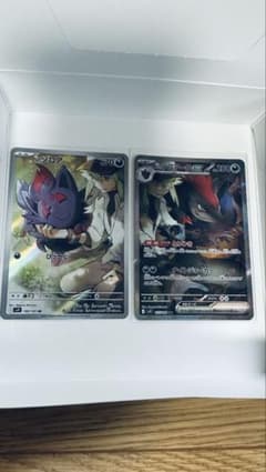 Nのゾロア、Nのゾロアークのサムネイル