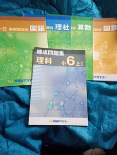 ◉ほぼ新品 早稲田アカデミー 小6 春期講習4教科 夏期講習国語テキスト