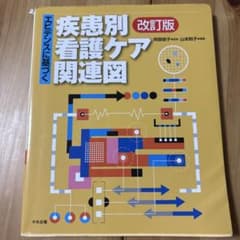 疾患別看護ケア関連図 改訂版のサムネイル