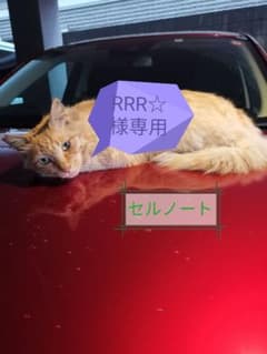 RRR☆様専用のサムネイル