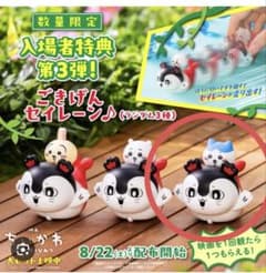 映画ちいかわ 入場者特典 第3弾 セイレーンのプルバックカー　ハチワレのサムネイル